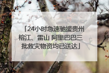 24小时急速驰援贵州榕江、雷山 阿里巴巴三批救灾物资均已送达