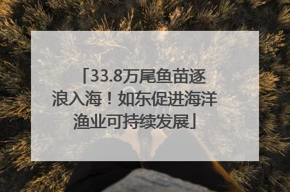 33.8万尾鱼苗逐浪入海！如东促进海洋渔业可持续发展