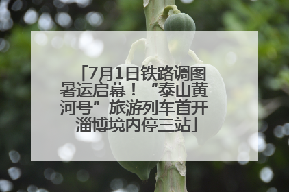 7月1日铁路调图暑运启幕！“泰山黄河号”旅游列车首开 淄博境内停三站