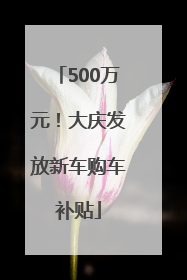 500万元！大庆发放新车购车补贴