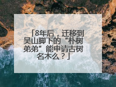 8年后，迁移到吴山脚下的“朴树弟弟”能申请古树名木么？