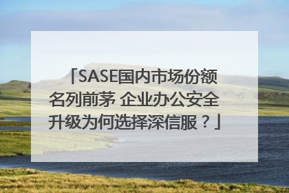 SASE国内市场份额名列前茅 企业办公安全升级为何选择深信服？